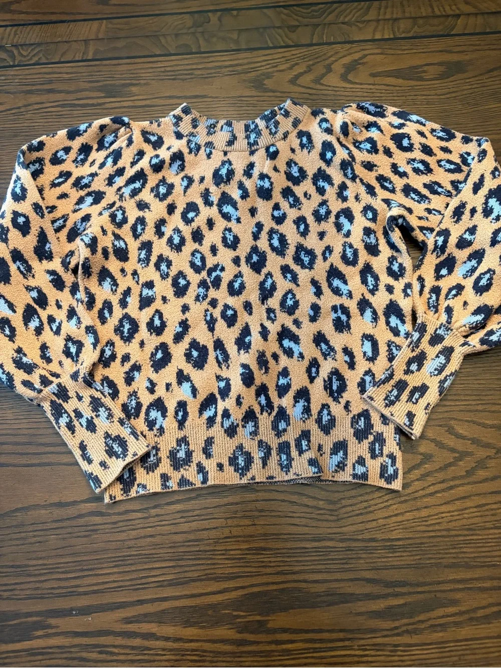 Leopard Print Sweater in Tan and Blue